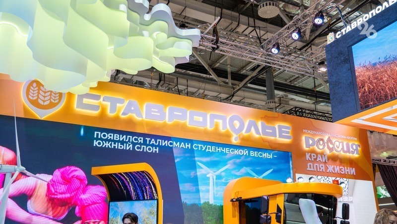 Посвящённый КМВ флешмоб запустили на выставке «Россия»