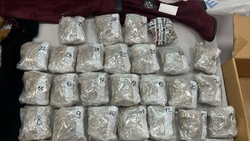 Пятигорчанин получил 6 лет колонии за контрабанду марихуаны из Сан-Франциско