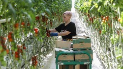 Президент РФ заявил, что около 40% помощи сельхозотрасли идёт на поддержку фермерства