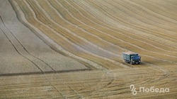 Более тысячи сельхозтоваропроизводителей Ставрополья зарегистрировались в ФГИС «Зерно»