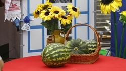 Музей арбуза в Астраханской области ежегодно принимает туристов со всего мира 