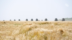 В Шпаковском округе намолотили 65 тыс. тонн зерновых и зернобобовых культур