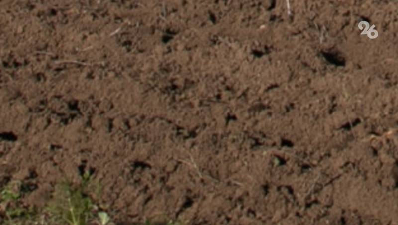 Противопожарную опашку территорий проверят по поручению губернатора Ставрополья