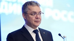 Губернатор Владимиров поручил проконтролировать уровень налоговой дисциплины на Ставрополье