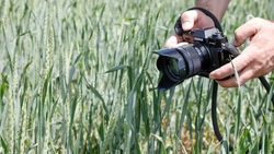 Более 50 фото птиц представят в ставропольском музее-заповеднике