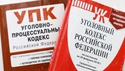 Студентка из Северной Осетии обманула предпринимательницу на 16 млн рублей