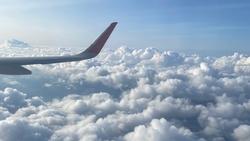 Ставропольцам рассказали, как купить авиабилеты дешевле