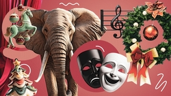 Слоны в цирке, новогодние квизы и живые бабочки: что посмотреть в Ставрополе на выходных 20 и 21 декабря