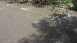 Русло реки Белой начнут расчищать в Кисловодске в июне 2025 года