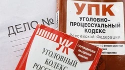 Уголовное дело за тату с запрещённой в России символикой завели на ставропольца 