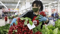 Две праздничные ярмарки пройдут в Ставрополе 8 марта 