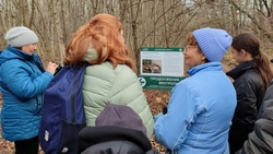 В георгиевском заказнике «Сафонова дача» появилась новая экологическая тропа