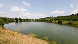 Краевое минприроды: Экологическая обстановка на Ставрополье остаётся благополучной