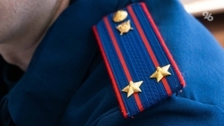 Ребёнку, пострадавшему от укусов собаки в Кисловодске, выплатят 100 тыс. рублей