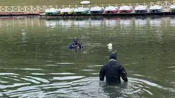 Дно Старого озера в Кисловодске начали чистить водолазы перед купальным сезоном