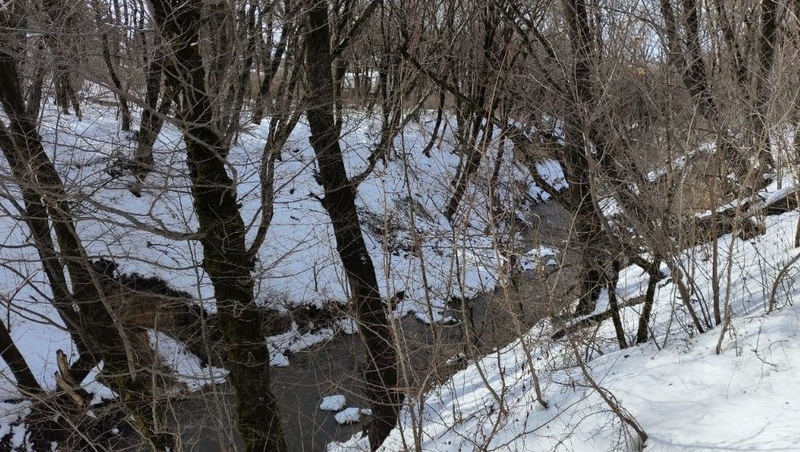 Угрозы подмыва берегов реки Грушевой в Ставрополе нет — минприроды края