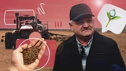 Ждут осадков, вносят удобрения, пробуют новые культуры: на Ставрополье стартовал весенний сев