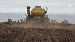 Ставропольские аграрии завершили сев озимого рапса