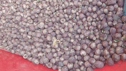 Уборка картофеля, свёклы и моркови стартовала в Предгорном округе