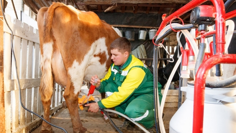 Агрохозяйства Ставрополья проведут виртуальные профтуры на выставке «Россия»