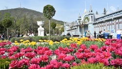 Фестиваль тюльпанов и другие цветочные сюрпризы Кавминвод