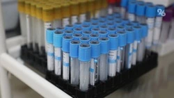 163 ставропольца обратились к медикам с укусами клещей за прошедшую неделю