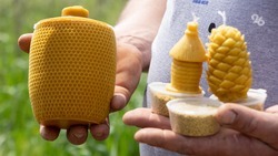 Молоко и мёд: жители Труновского округа развивают бизнес с помощью соцконтрактов