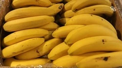 Банановый комплекс появится на Ставрополье – губернатор Владимиров