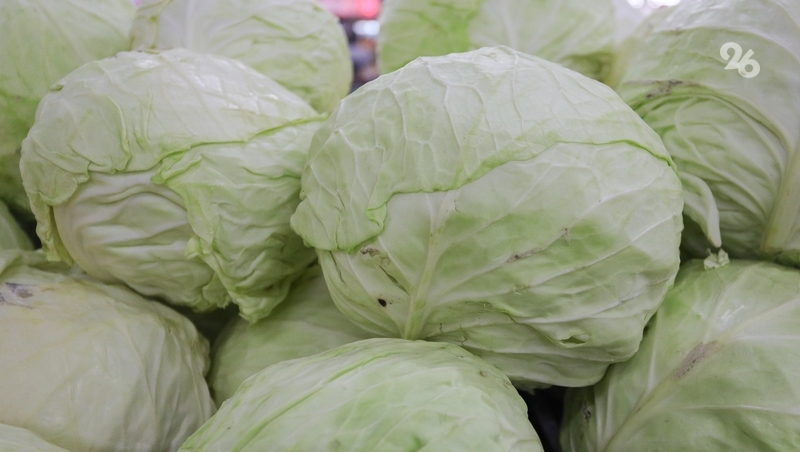 Аграрии Ставрополья собрали 156 тонн капусты