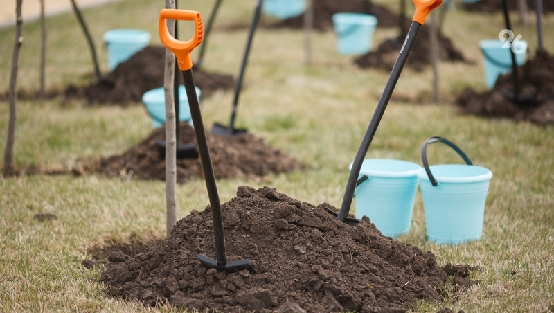 Дети из Белгорода высадили сирень в Пятигорске