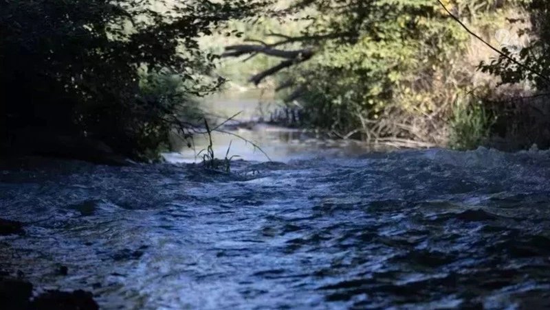Глава минприроды Ставрополья заявил о возможном подъёме уровня воды в Калаусе