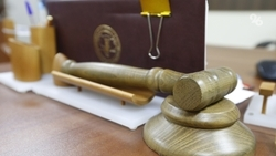 Экстремиста из «Правого сектора»* осудили за подготовку теракта на Ставрополье