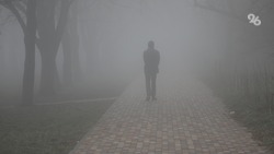 На дороги Шпаковского округа опустился сильный туман